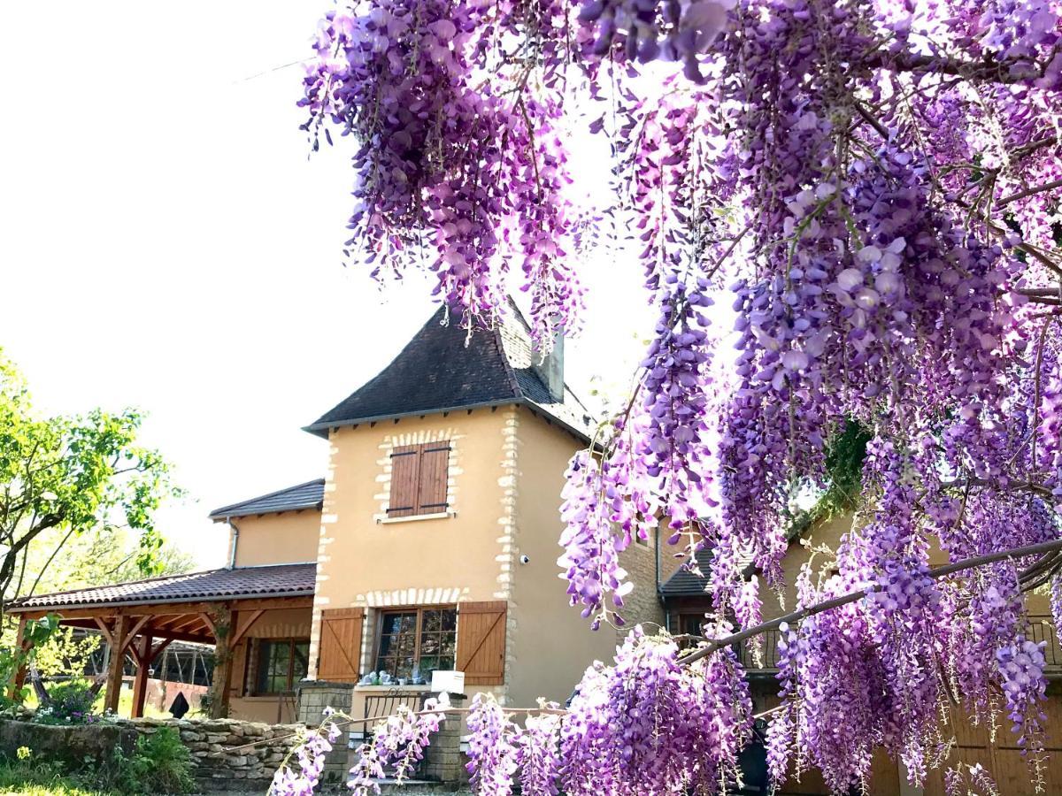 Les Cedres Du Linard, Chambres D'Hotes B&B Near Lascaux, Montignac, Sarlat-La-Caneda, Dordogne La Chapelle-Aubareil Exterior photo