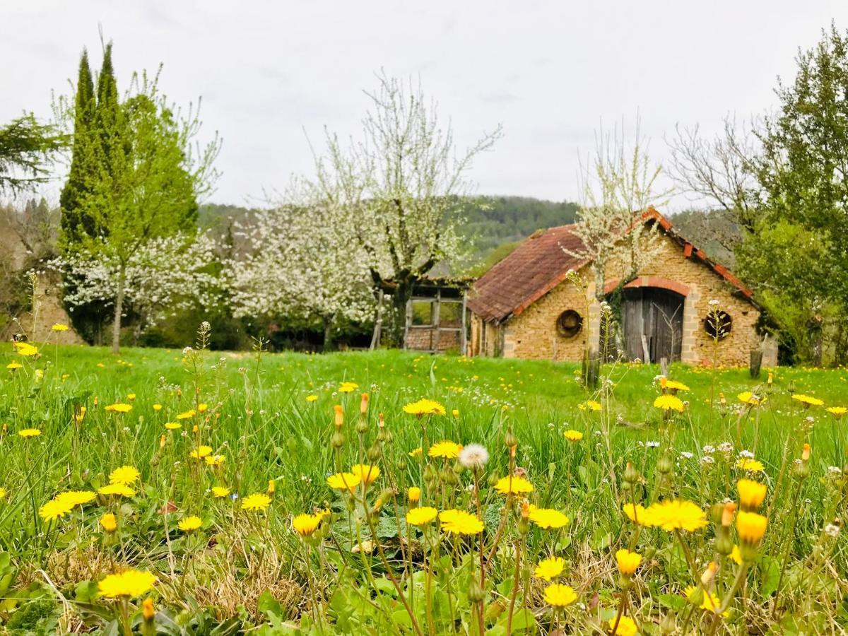 Les Cedres Du Linard, Chambres D'Hotes B&B Near Lascaux, Montignac, Sarlat-La-Caneda, Dordogne La Chapelle-Aubareil Exterior photo